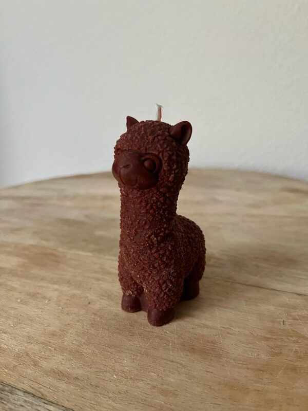 Alpaca bruin